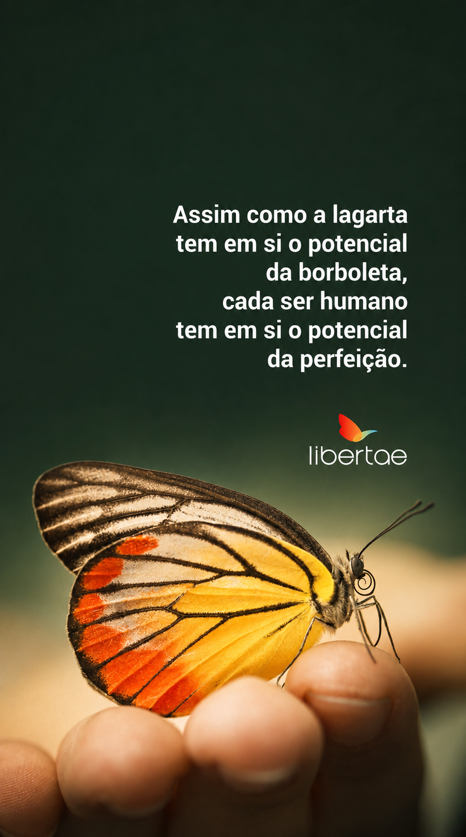 Borboleta Libertae e a frase sobre o potencial da perfeição em cada ser humano.